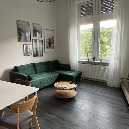 Apartmán Direkter Moselblick I Altbau I 4 Personen I Terrasse Sankt Aldegund Exteriér fotografie